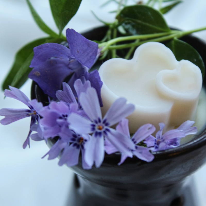 Vosky do aromalampy s olejem - Jaro