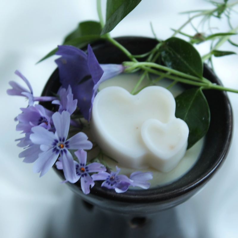 Vosky do aromalampy s olejem - Divoká višeň