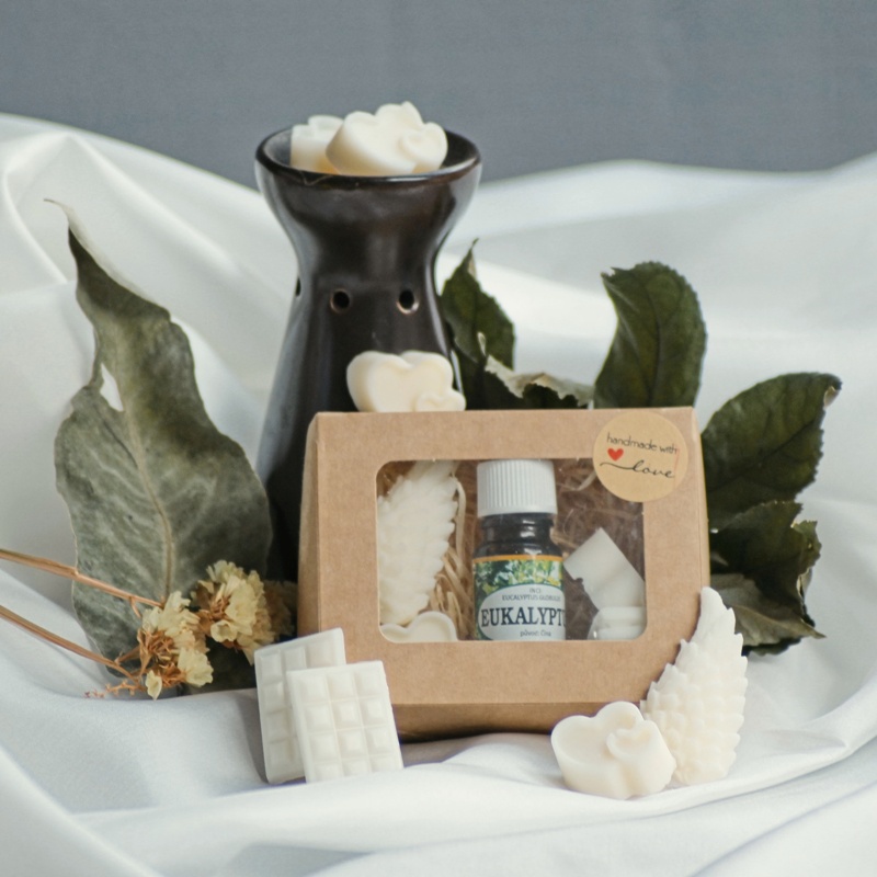 Vosky do aromalampy s olejem - Eukalyptus