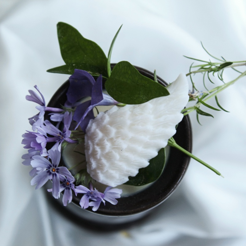 Vosk do aromalampy neparfemovaný - Křídla