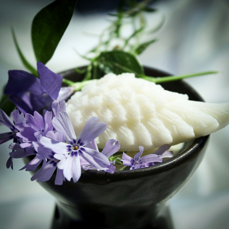 Vosky do aromalampy s olejem - Pomeranč